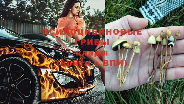 мяу мяу мука Краснотурьинск