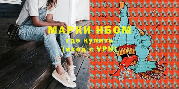 2c-b Краснослободск