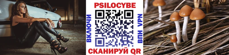 Псилоцибиновые грибы GOLDEN TEACHER  Купить закладки  Анапа 